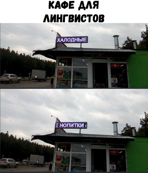 Прикольные картинки