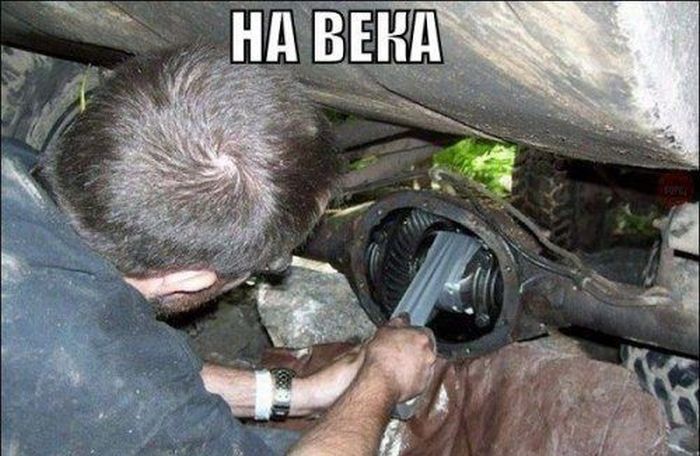 Порция картинок