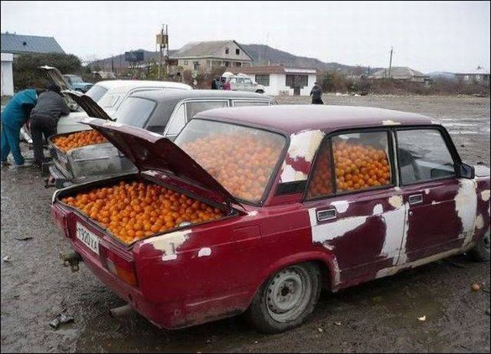 Порция картинок