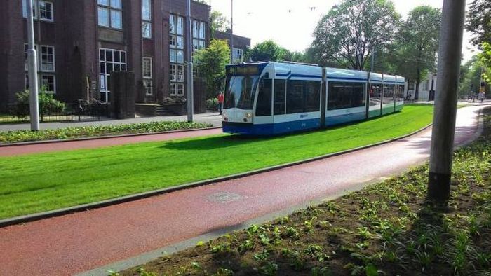 Порция картинок