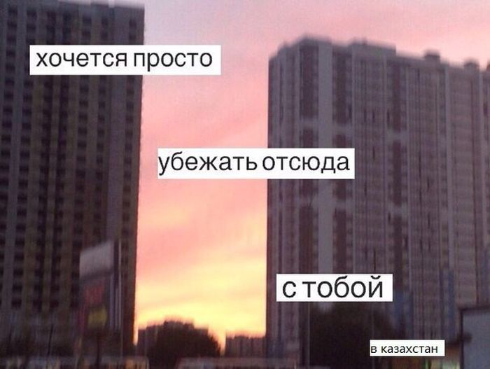 Порция картинок