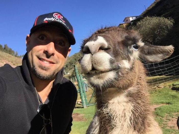 Порция картинок