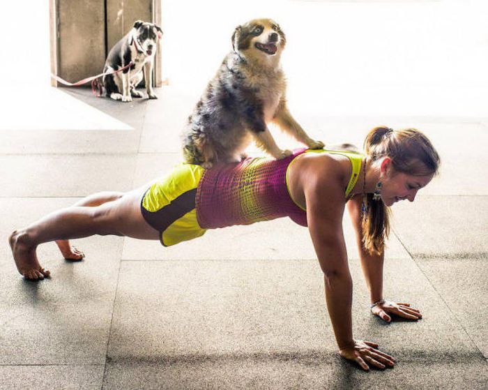 Порция картинок