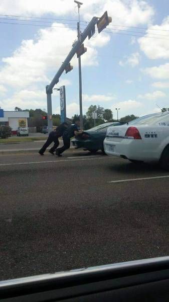 Порция картинок