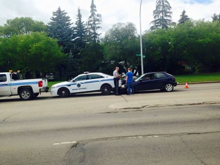 Порция картинок