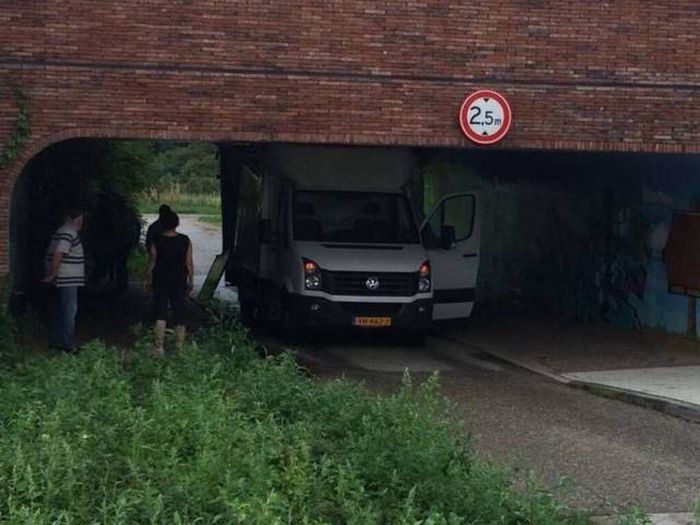 Порция картинок