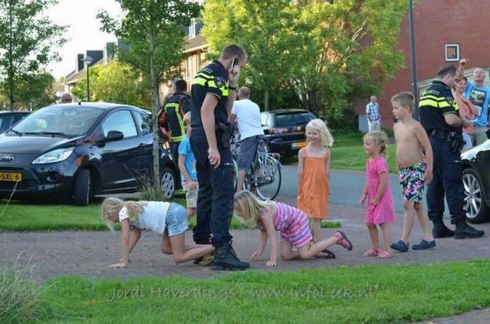 Порция картинок