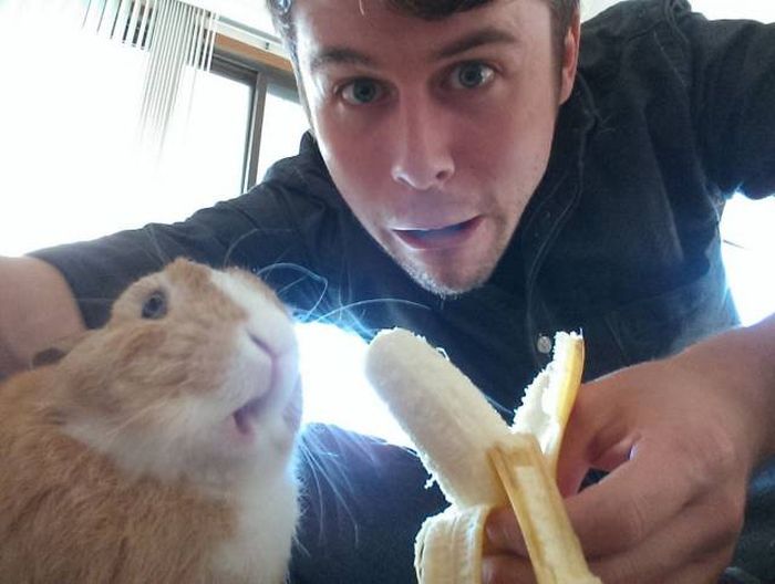 Порция картинок