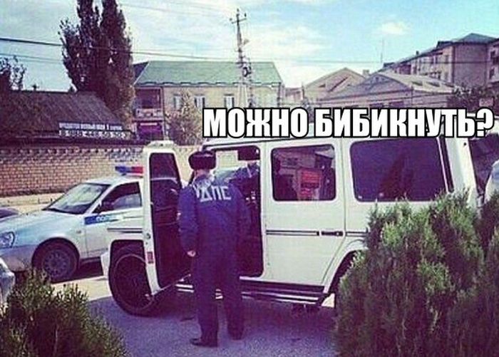 Порция картинок