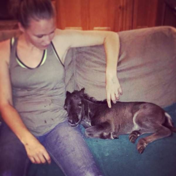 Порция картинок