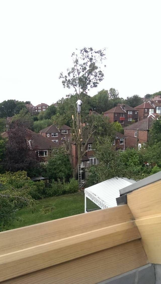 Порция картинок