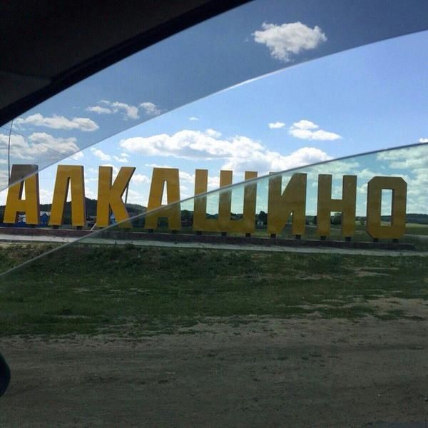 Порция картинок