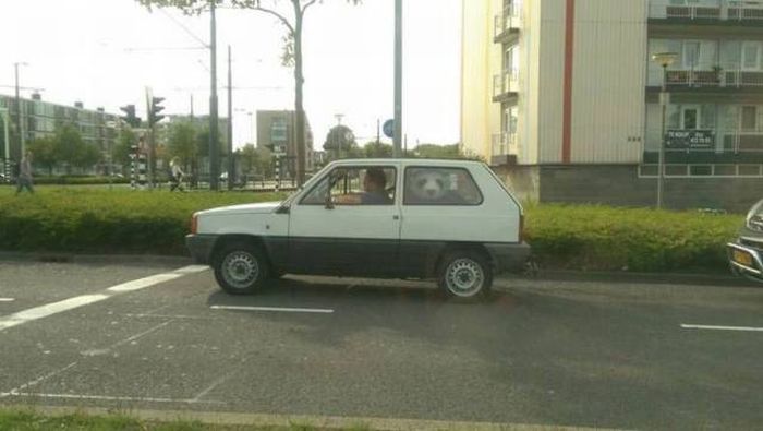 Порция картинок