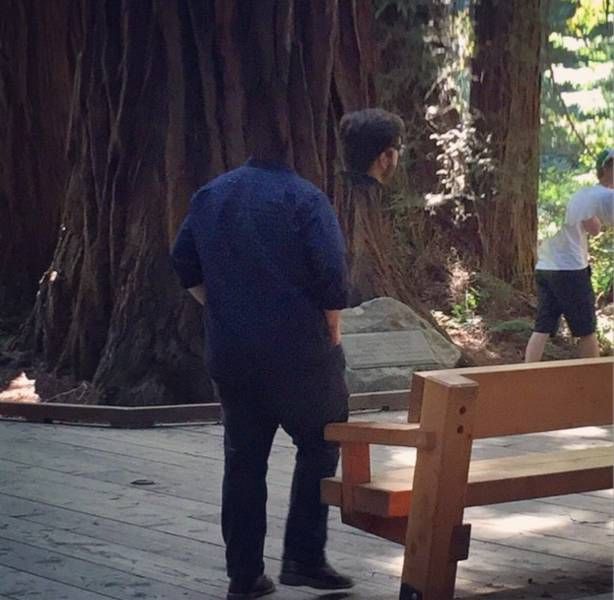 Порция картинок