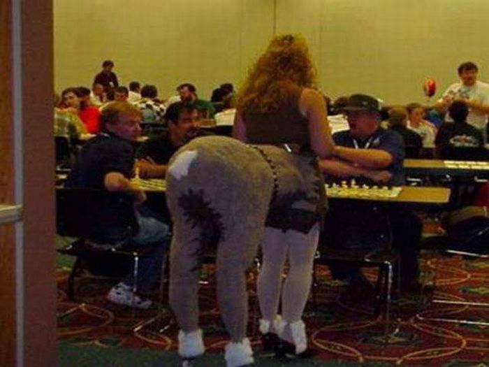 Порция картинок