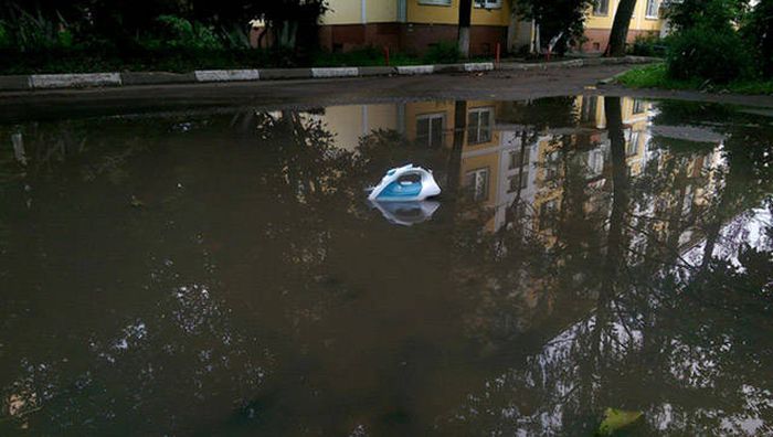 Прикольные картинки