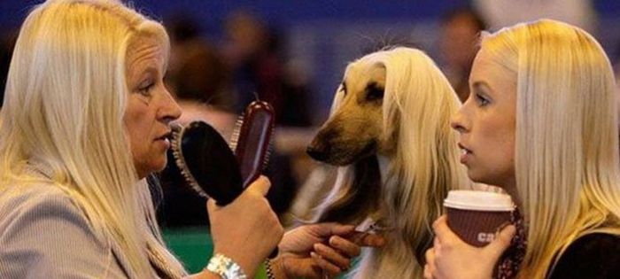 Совпадения, которые нельзя на сфотографировать