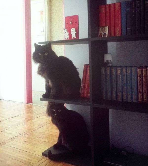 Совпадения, которые нельзя на сфотографировать