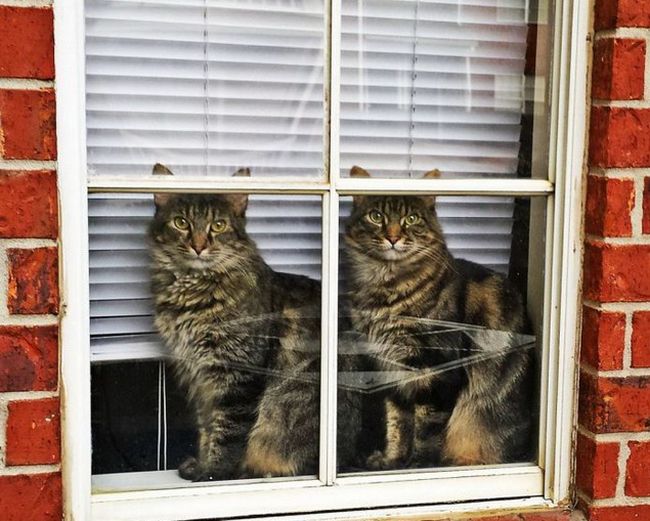 Совпадения, которые нельзя на сфотографировать