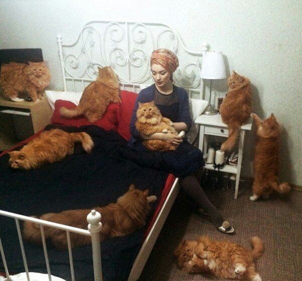 Прикольные картинки