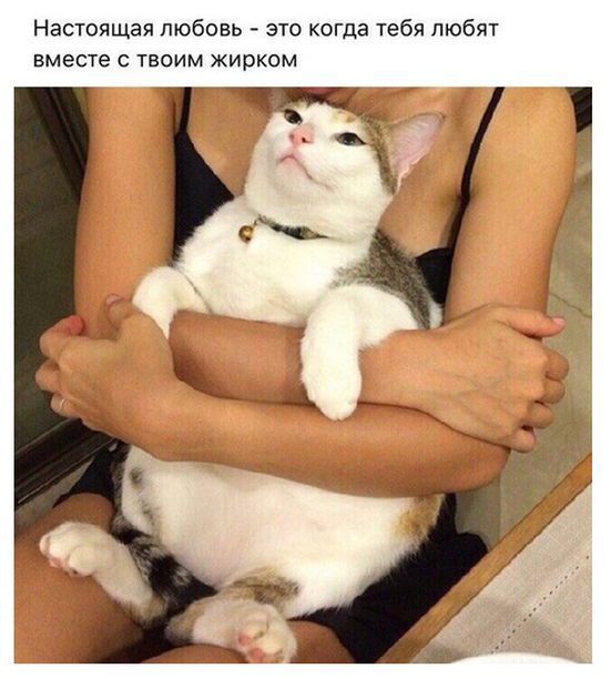 Прикольные картинки