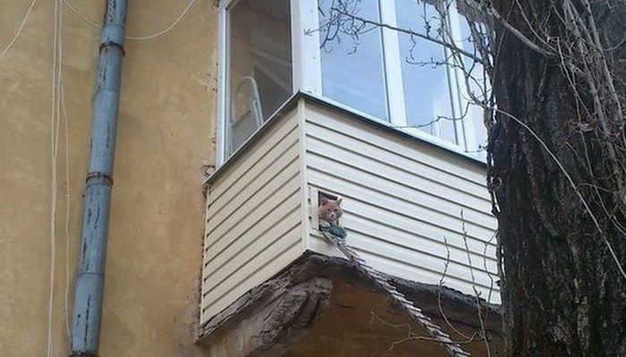 Российские балконы