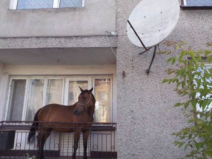 Российские балконы