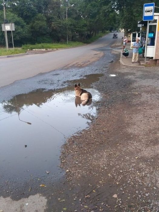Жаркое лето