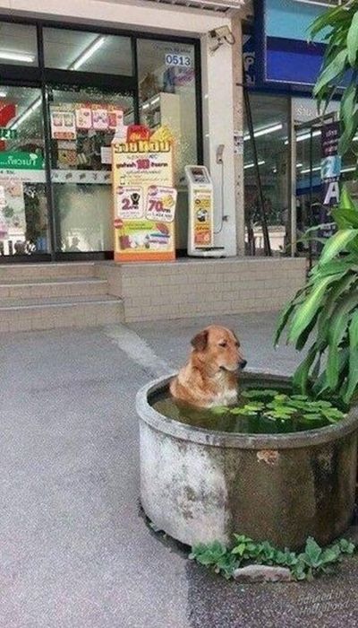 Жаркое лето