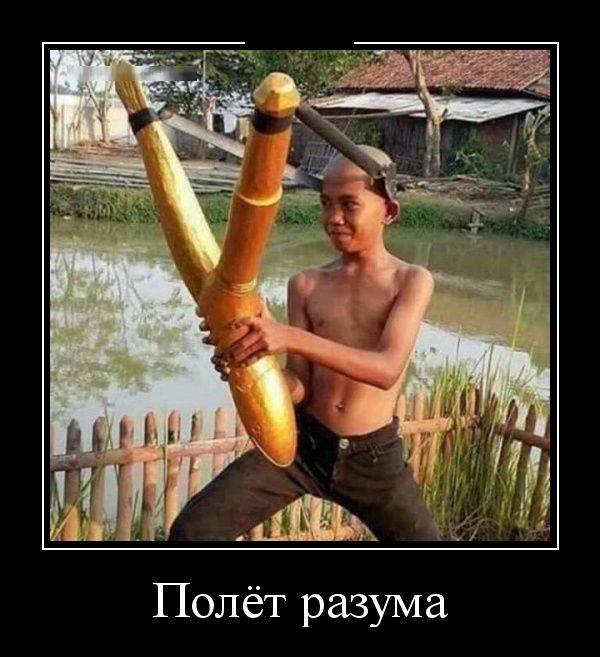 Демотиваторы