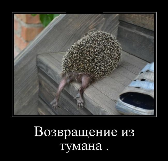 Демотиваторы