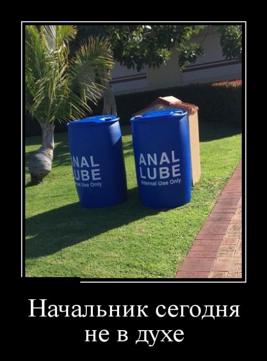 Демотиваторы