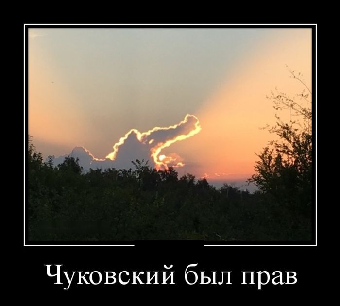 Демотиваторы