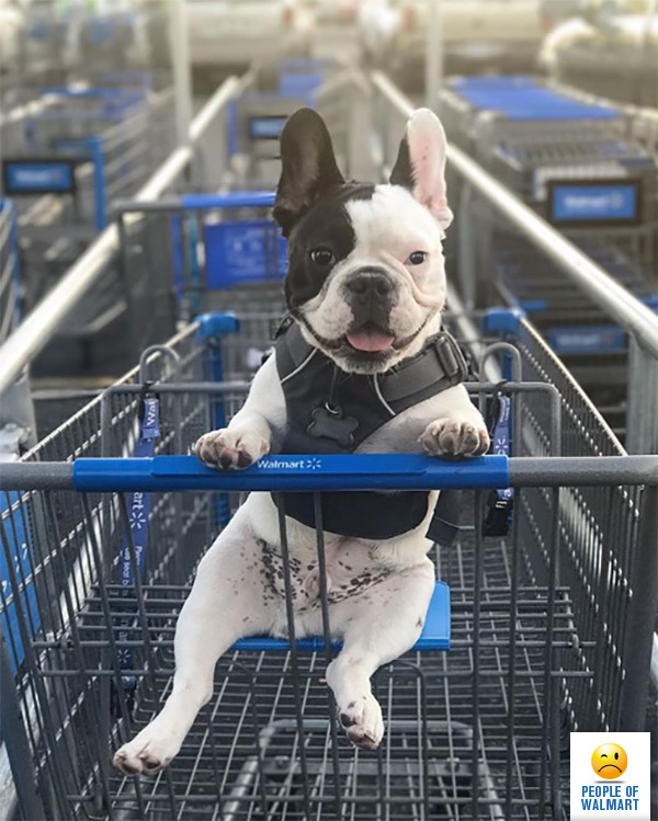 Экстравагантные покупатели Walmart
