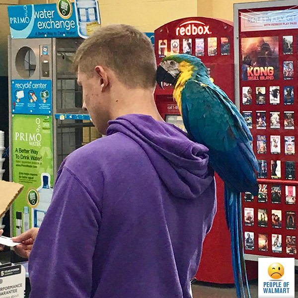 Экстравагантные покупатели Walmart