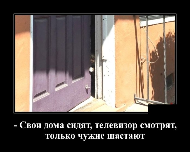 Демотиваторы