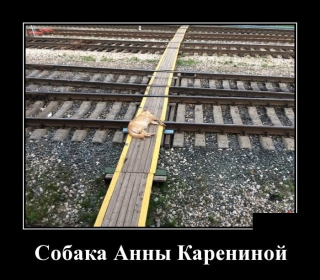 Демотиваторы