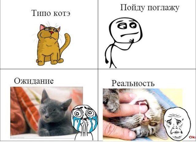 Прикольные комиксы (25 фото)
