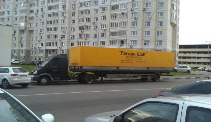 Прикольные картинки (42 фото)