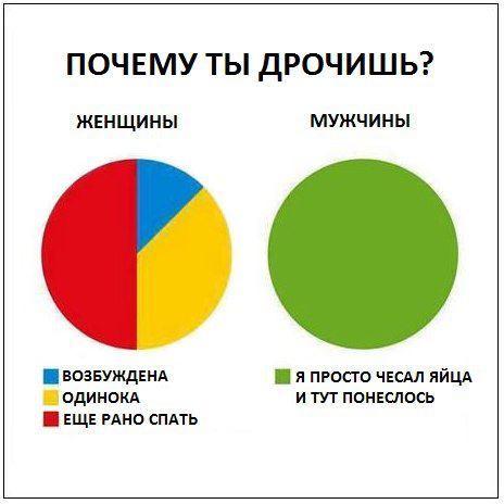 Прикольные картинки (42 фото)