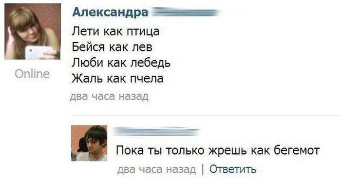 Порция картинок