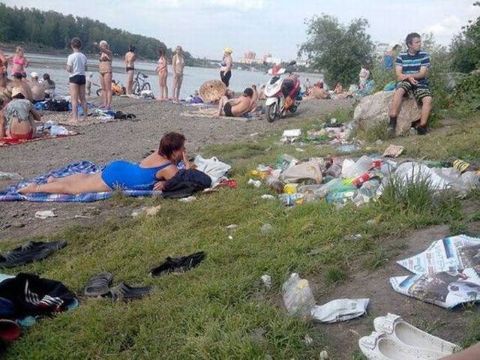 Порция картинок