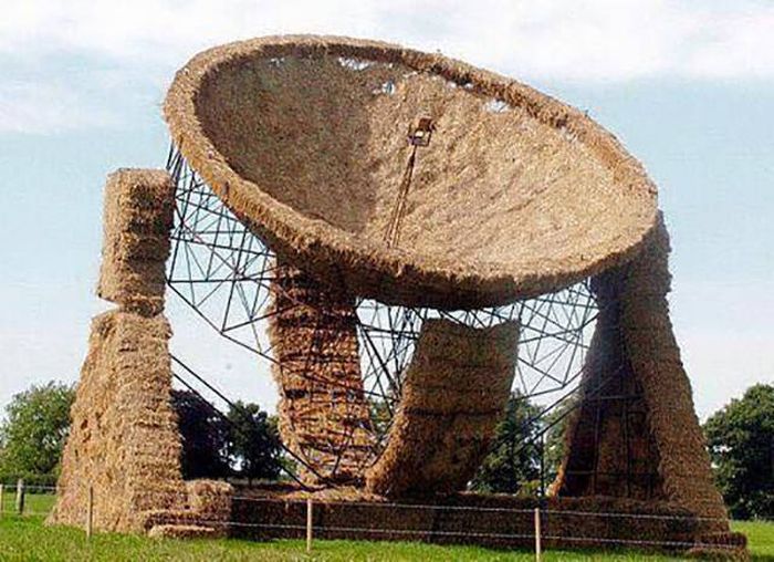 Порция картинок