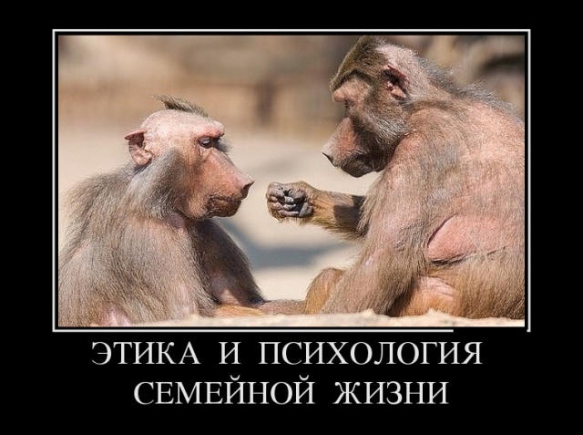 Демотиваторы
