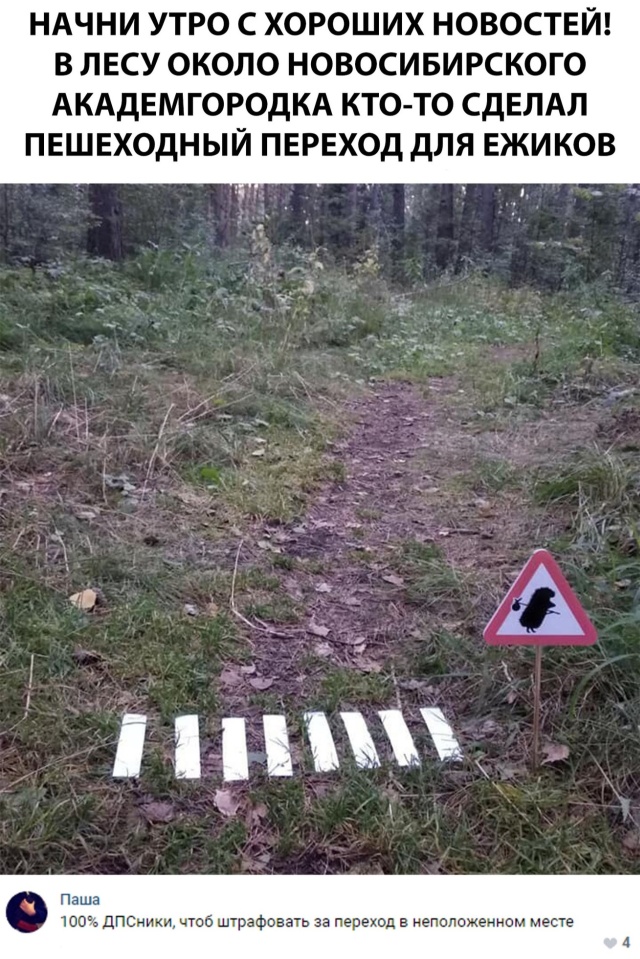 Смешные картинки