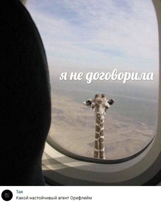 Смешные картинки