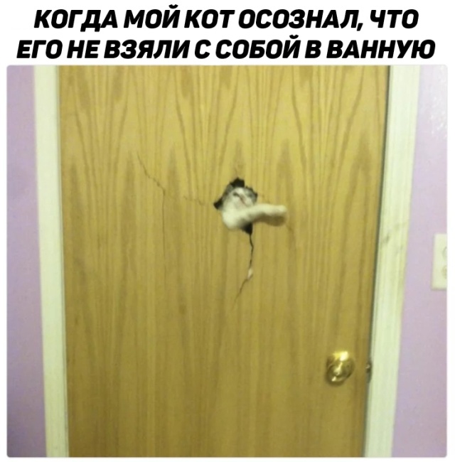 Смешные картинки