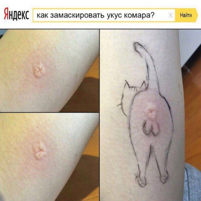 Прикольные картинки