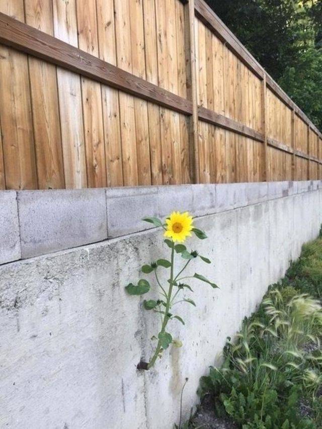 Фото, которые не нуждаются в комментариях