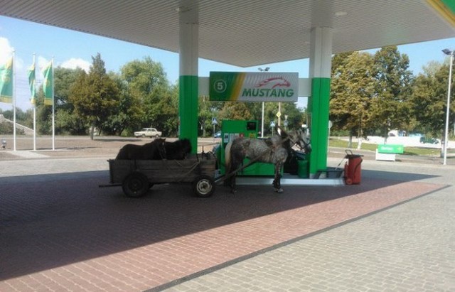 Странности, которые можно увидеть на заправках